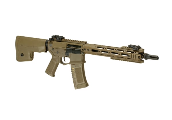 Amoeba AM-009 EFCS