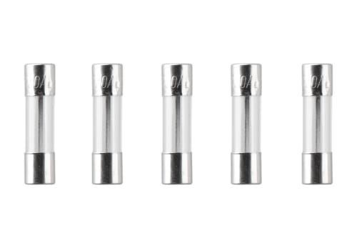 Nimrod Glass Type Fuse 5x20mm 20A 5pcs