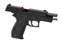 AW Custom Swiss Arms P226R Full Metal GBB