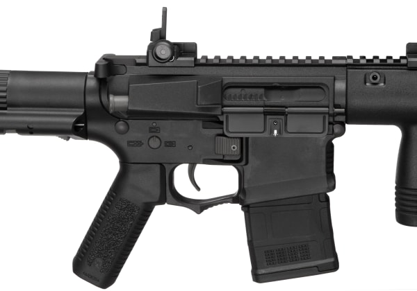 Amoeba KW-01 EFCS