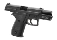 SIG Sauer ProForce P229 Full Metal GBB