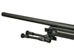 Well AW .338 Sniper Rifle Set Upgraded