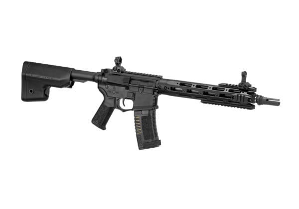 Amoeba AM-009 EFCS