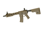 Amoeba AM-009 EFCS