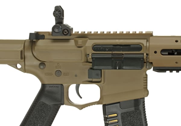 Amoeba AM-013 EFCS