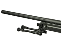 Well AW .338 Sniper Rifle Set Upgraded