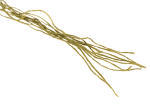Invader Gear Ghillie Threads