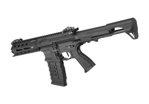 G&G ARP 556 V2S S-AEG