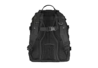 Warrior Pegasus Pack