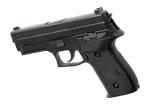 SIG Sauer ProForce P229 Full Metal GBB
