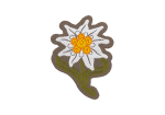 Clawgear Edelweiss Patch