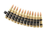 Classic Army 5.56mm Cartridge Belt
