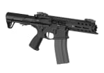 G&G ARP 556