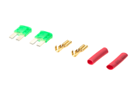 Gate Micro Fuse 2pcs