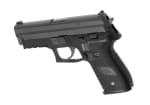 WE P229R Full Metal GBB