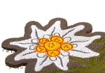 Clawgear Edelweiss Patch