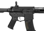 Amoeba AM-009 EFCS