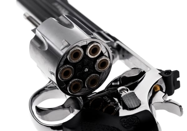 Smith & Wesson 629 Classic 5