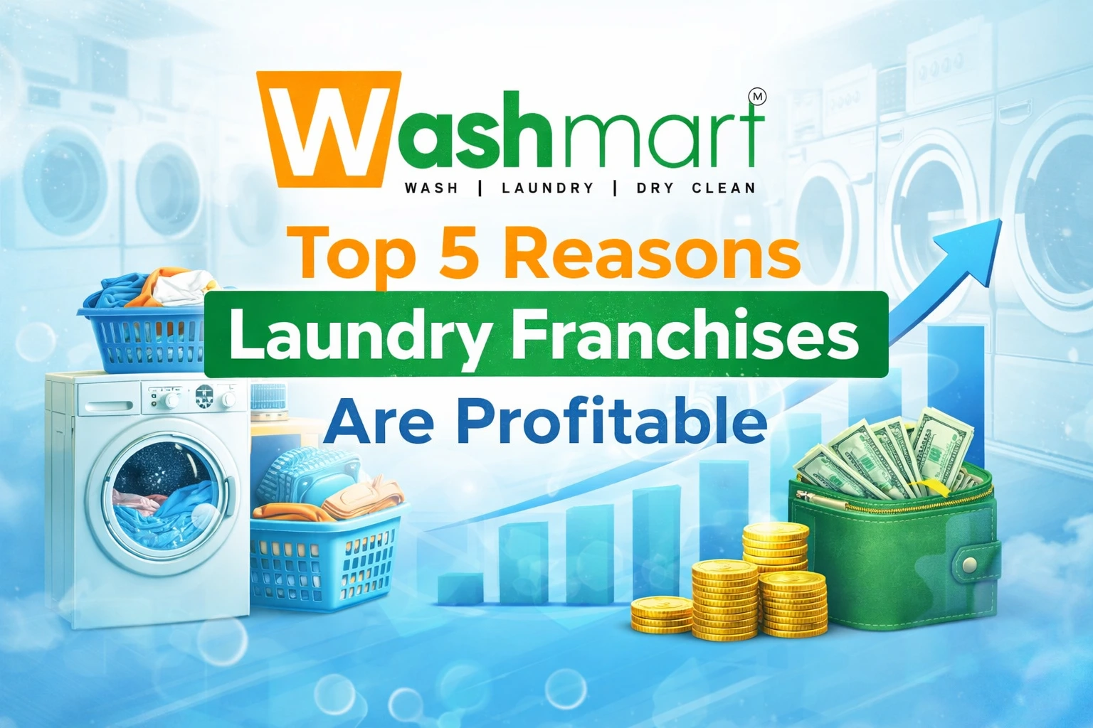 Top 5 Reasons Laundry Franchises Are Profitable