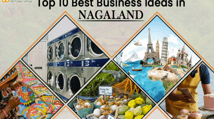 10 Best Business Ideas in Nagaland for High Profit in 2026