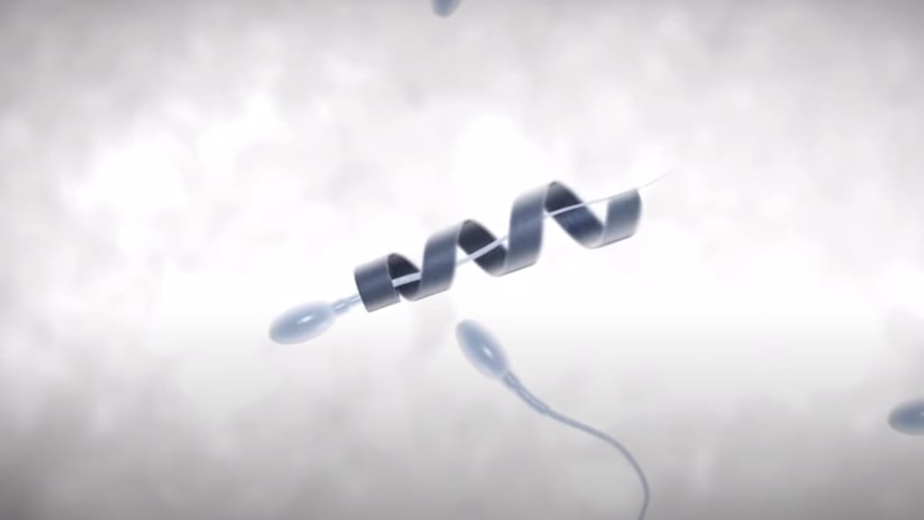 Sperm Nanobots