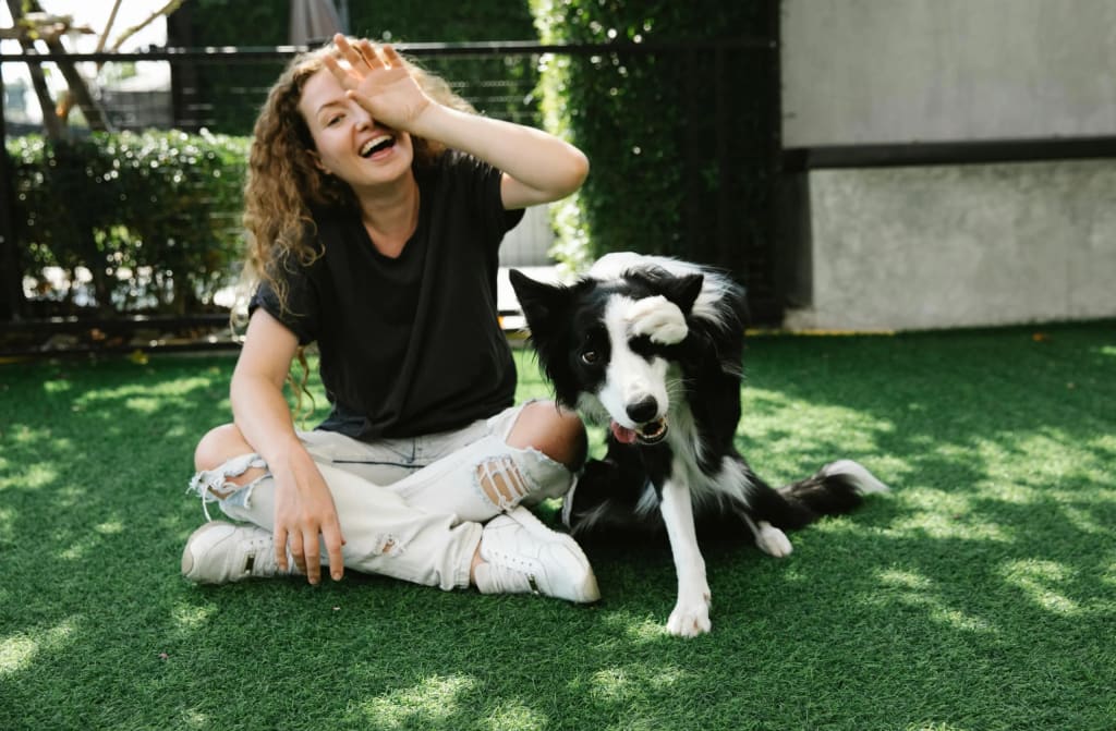 Dogs and Humans