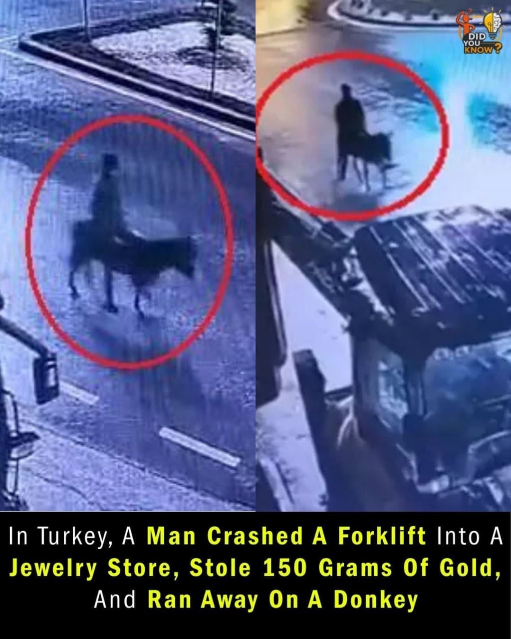 Jewelry Thief Escapes on Donkey After Bizarre Gold Shop Raid
