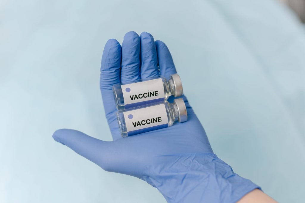 Two New Plague Vaccines Protected Every Mouse—Here Is Why the Result Matters