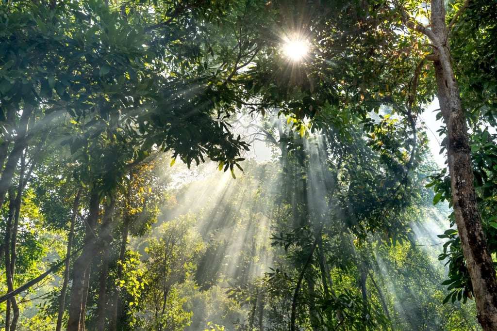 Will 99% of People on Earth Get Sunlight at the Same Time? The Viral Claim Explained