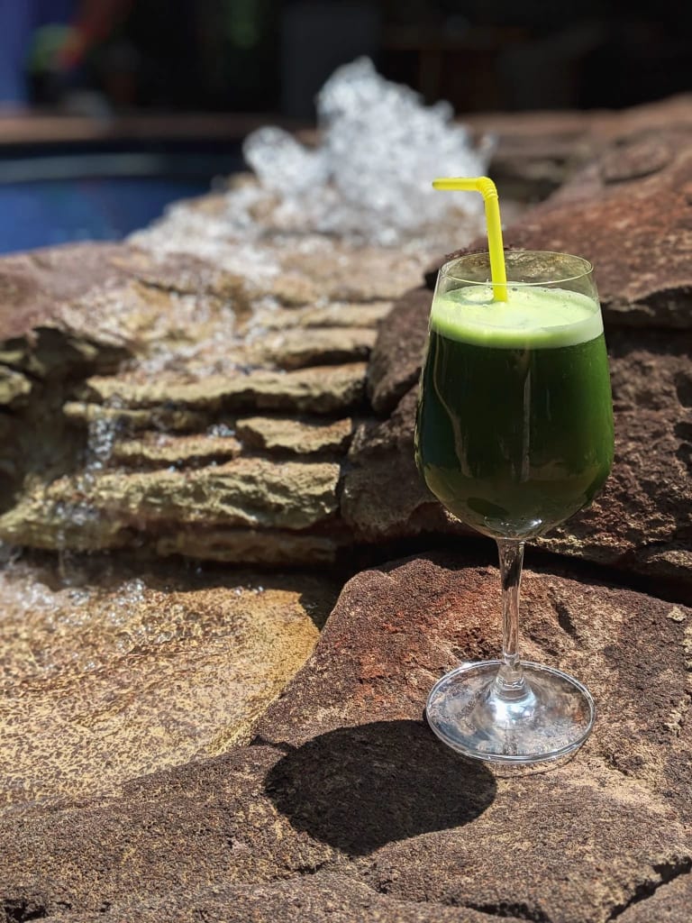 The Easiest Healthy Juice You can Make