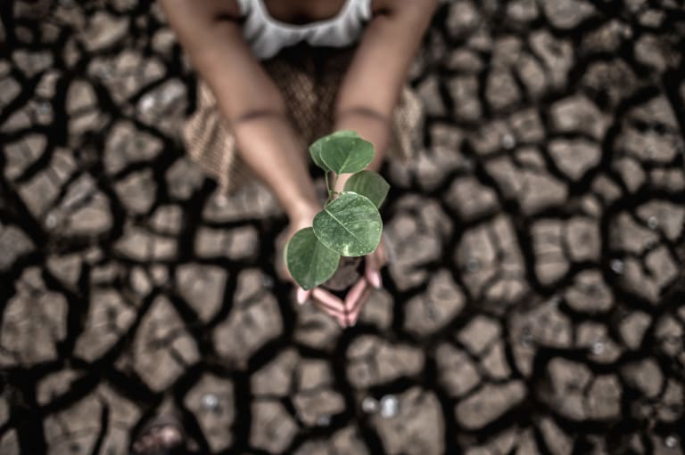 Climate Change and Sustainability: Paving the Way to a Resilient Tomorrow