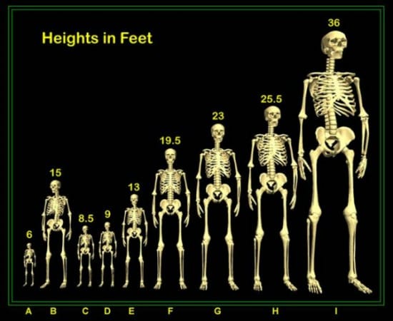 The Giants: Exploring the Myth of Prehistoric Behemoths