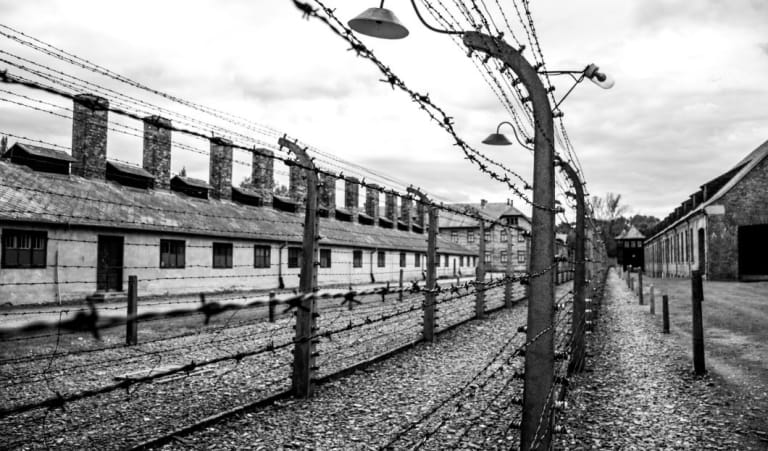 Beyond the Shadows: Dark Tourism's Haunting Destinations
