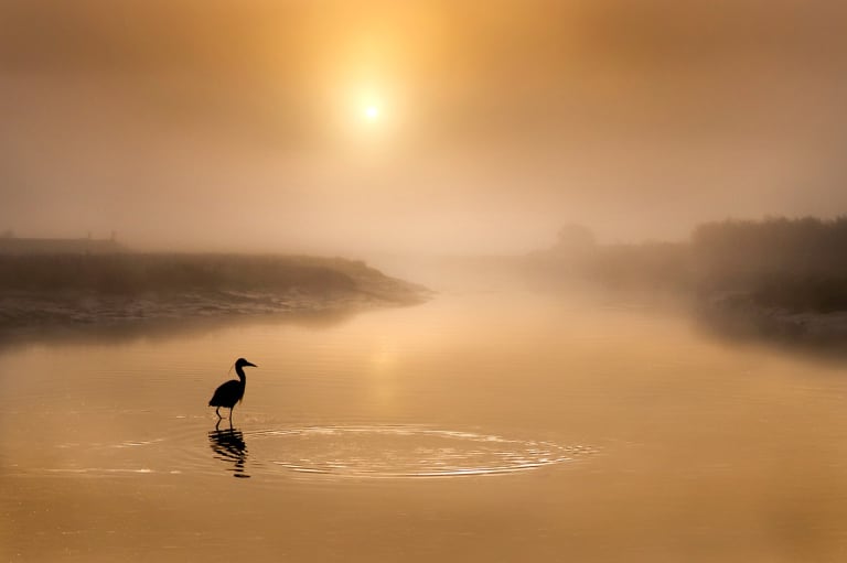 the golden hour