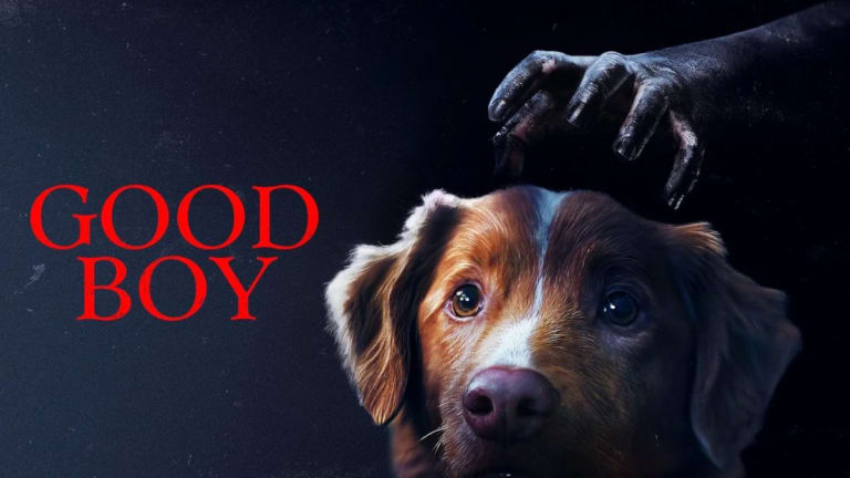 Good Boy