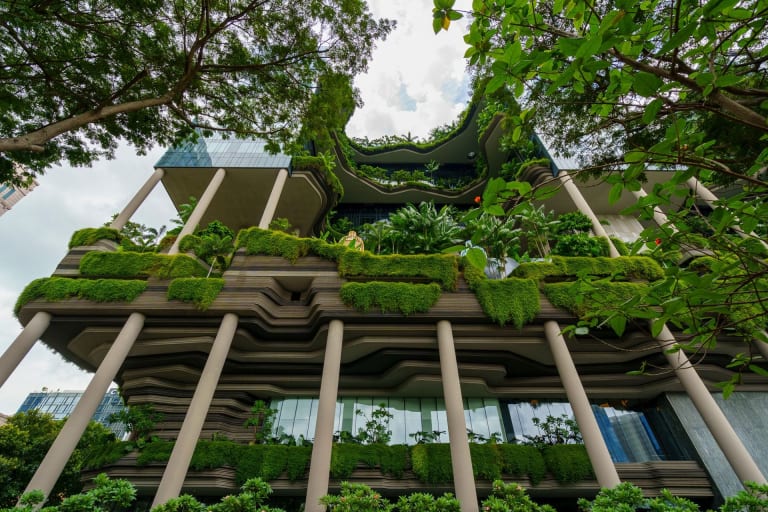 Biophilic Architecture: How Cities Are Integrating Vertical Forests and Green Walls