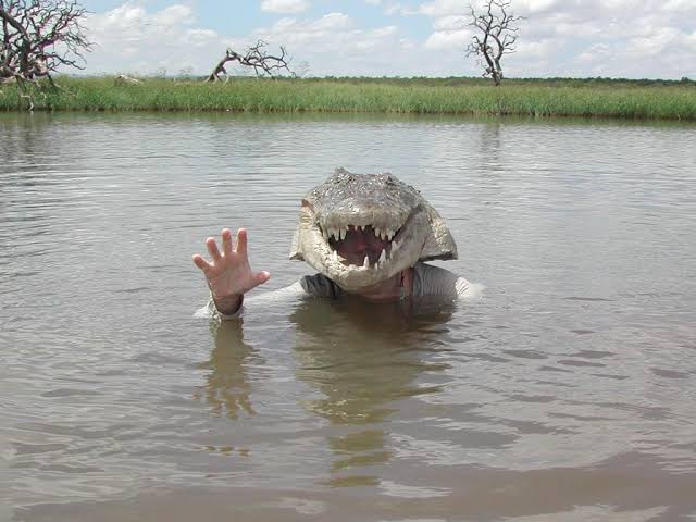 Brady Barr’s Crocodile Suit: The Incredible Experiment That Put Him Feet From Wild Nile Crocs