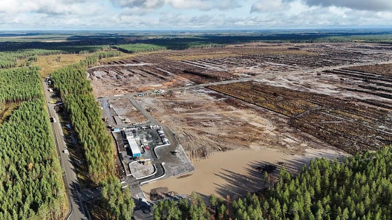 Google Cleared 1,300 Acres of Finnish Forest for AI Data Centers. Now Wolves Are Reportedly Entering Villages