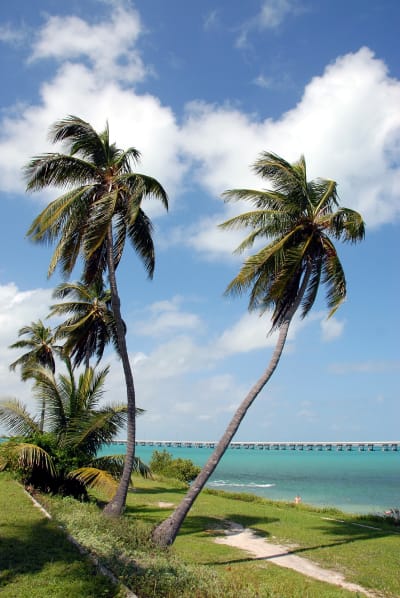 Picture of 7 Mile Bridge