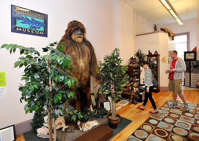 International Cryptozoology Museum — Portland, Maine