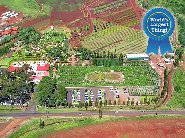 Dole Plantation Pineapple Maze — Wahiawa, Hawaii