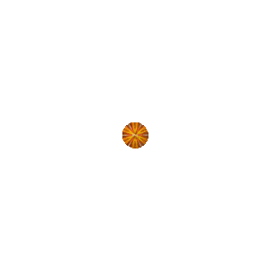 LUCKY SPIN