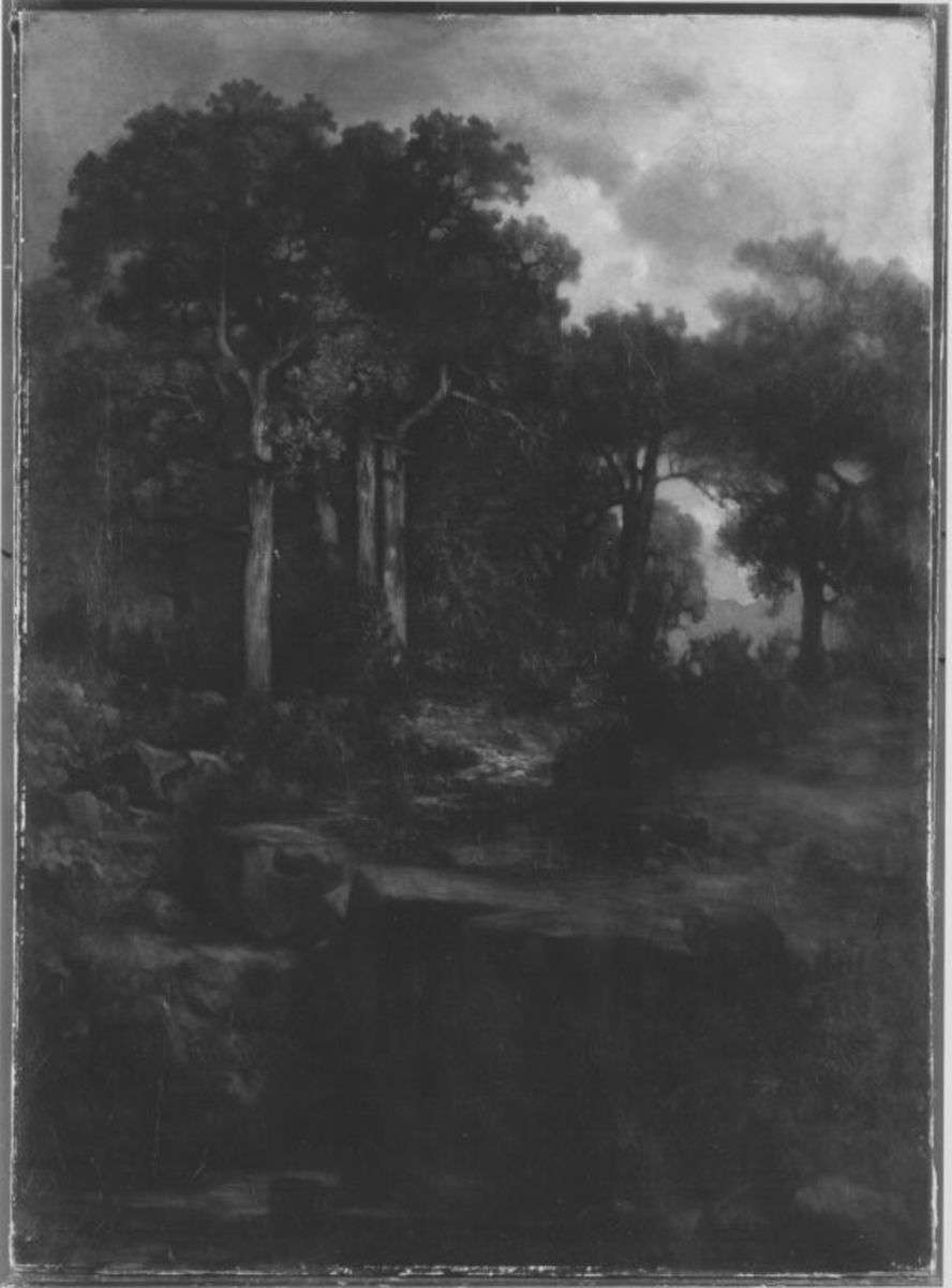 Waldlandschaft