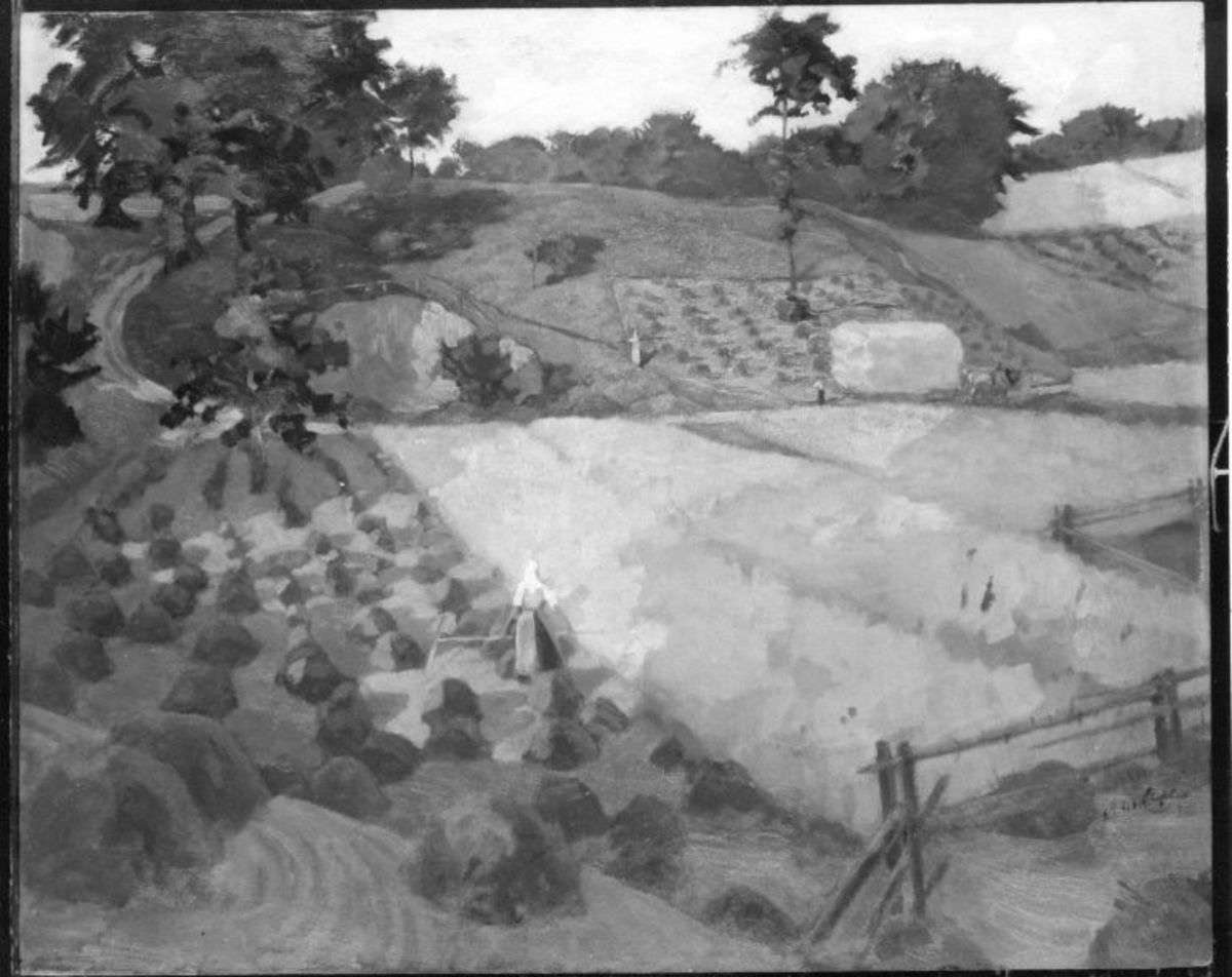 Abend in der Grummeternte