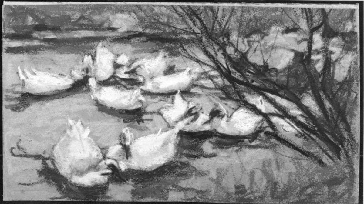 Ganz kleine Enten am Teich