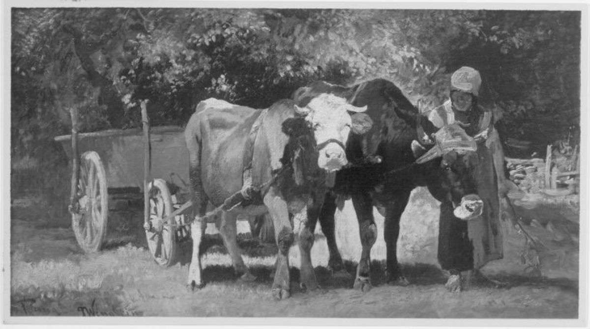 Kuhgespann mit Bäumen