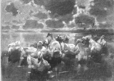 Enten am Wasser unter aufgerissenem wolkenbedecktem Himmel