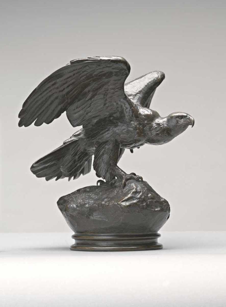 Adler, die Schwingen breitend