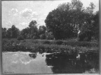 Am Weiher