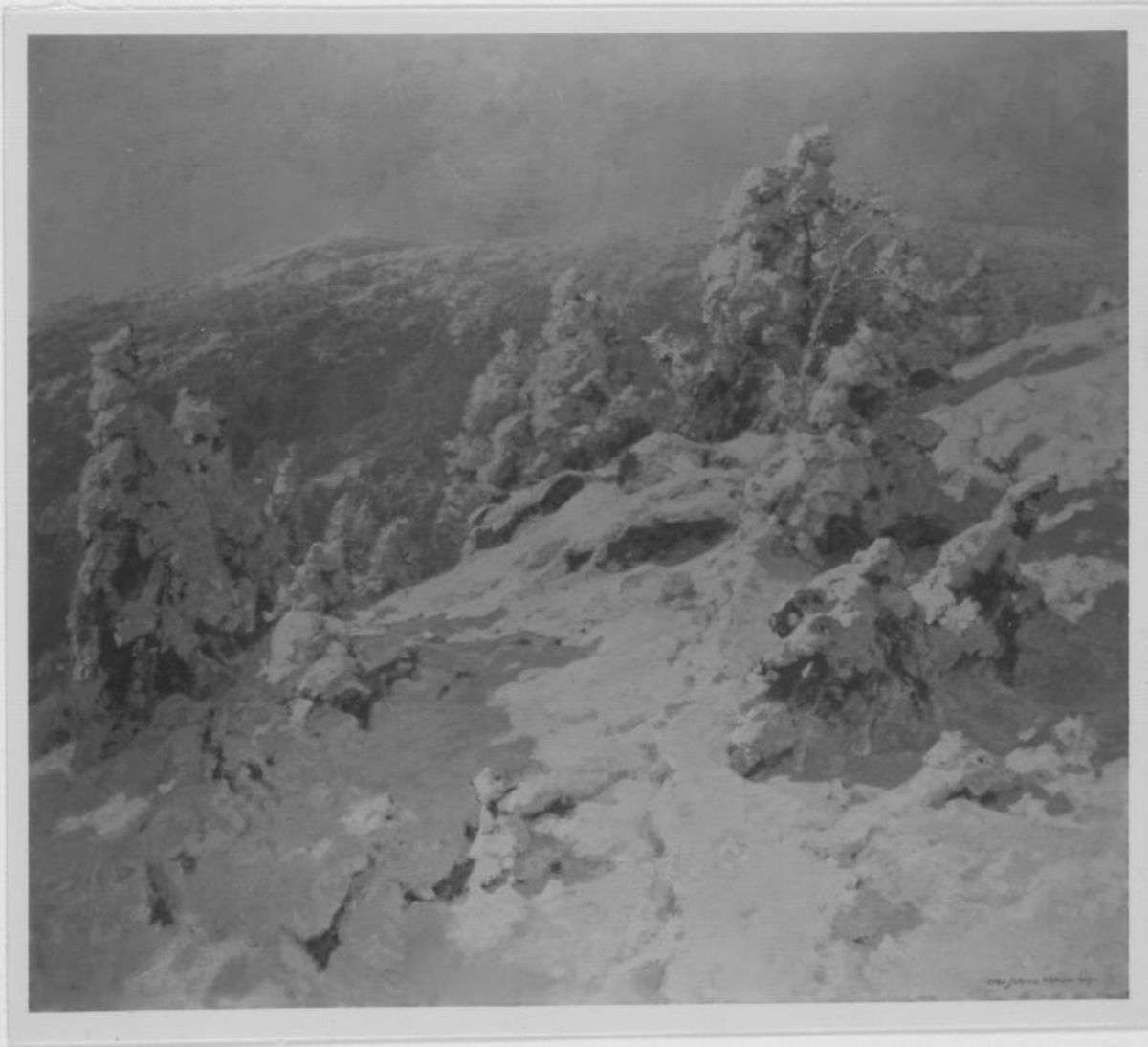 Schneelandschaft (Tiefer Schnee)